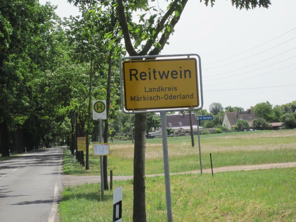 Pension Zum Weissen Hirsch Reitwein Exterior photo