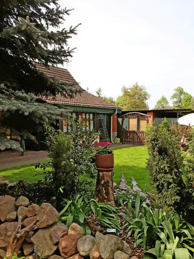 Pension Zum Weissen Hirsch Reitwein Exterior photo